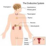 Adrenomyeloneuropathy (Adrenoleukodystrophy)