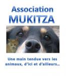 Adoption chiens/chats Roumanie et Serbie